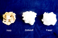 Abbildungen von Holz, Zellstoff und Fasern zeigen den Weg der Viskose