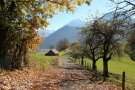 Ein neugebauter Weg zwischen Gailenberg und Vorderhindelang.