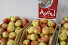 Äpfel aus Ursberg, die am Stand verteilt wurden.