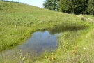 Ein Feuchtbiotop in hügeliger Landschaft