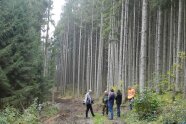 Gespräch im Wald, Menschen vor Fichten.