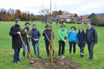 Gruppenbild an einem neu gepflanzten Streuobstbaum in Sigmarszell. 
