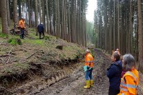 Besichtigung vor Ort im Wald.