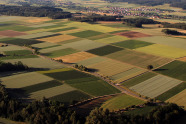 Flache Landschaft mit gut geformten Äckern, die rationell zu bewirtschaften sind.