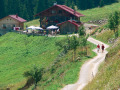 Letztes flaches Wegstück kurz vor der Alpe Oberberg