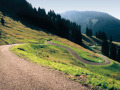 Befestigter Alpweg, der sich in Serpentinen den Hang hochwindet