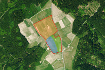 Luftbild: Weidefläche rot umrandet mit drei farblich gekennzeichneten Eigentumsflächen
