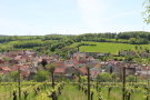 Obstplantage, im Hintergrund das Rathaus und der Ort