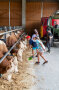 vier Kinder in einem Kuhstall